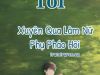 Tôi Xuyên Qua Làm Nữ Phụ Pháo Hôi